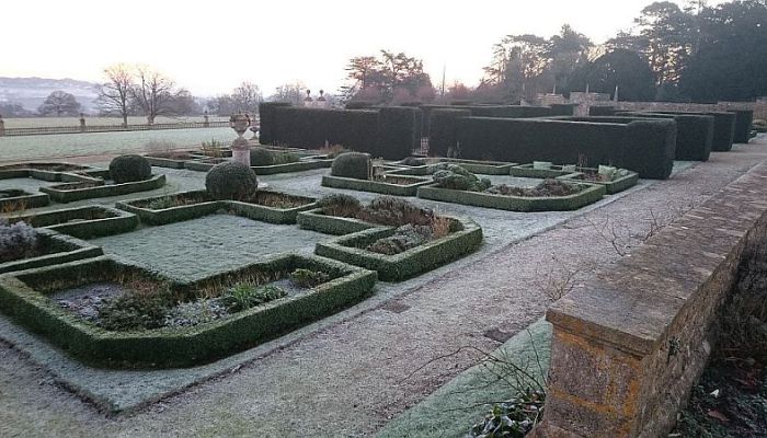 Maintaining a Box parterre