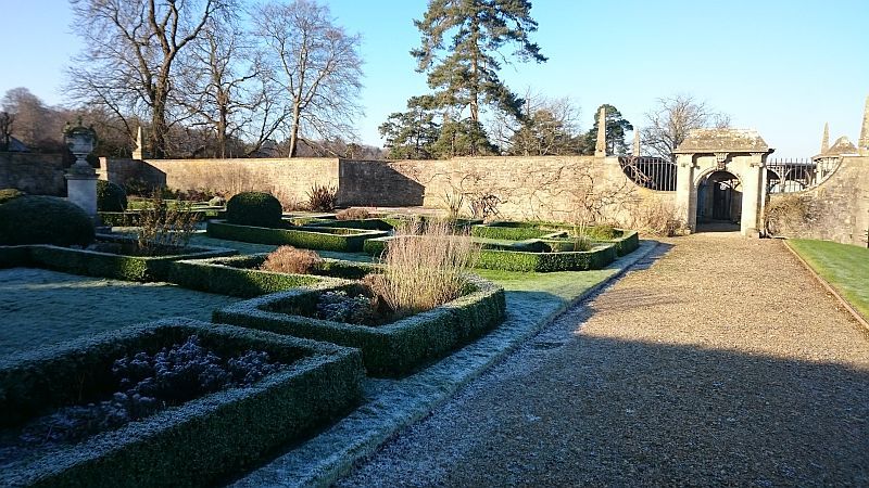 Managing a Box Blight Parterre