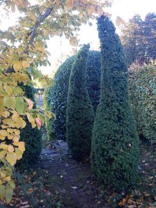 bendy hedges