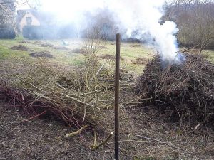 bonfire