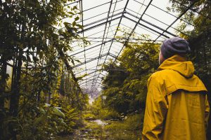 greenhouse