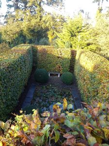 hedge square