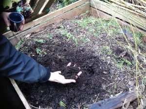 nice compost