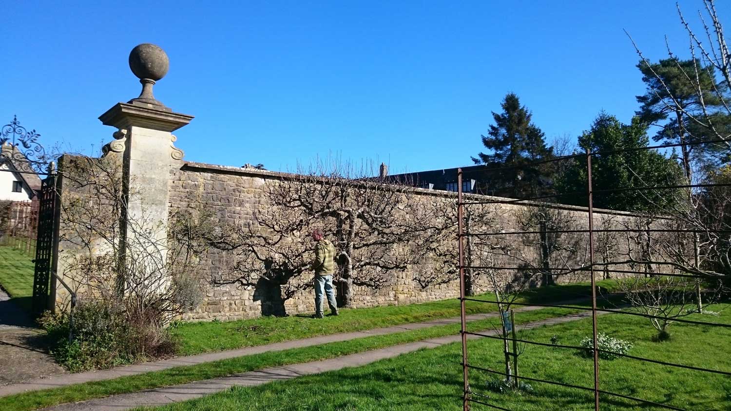 orchard on wall