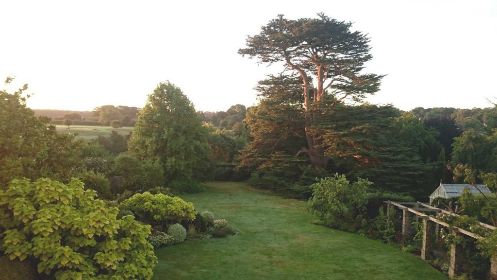 sunrise over garden