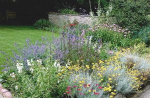 lots of flowers
