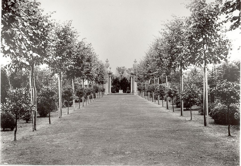 Victorian Shrubbery