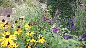 various flowers