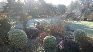 winter scene