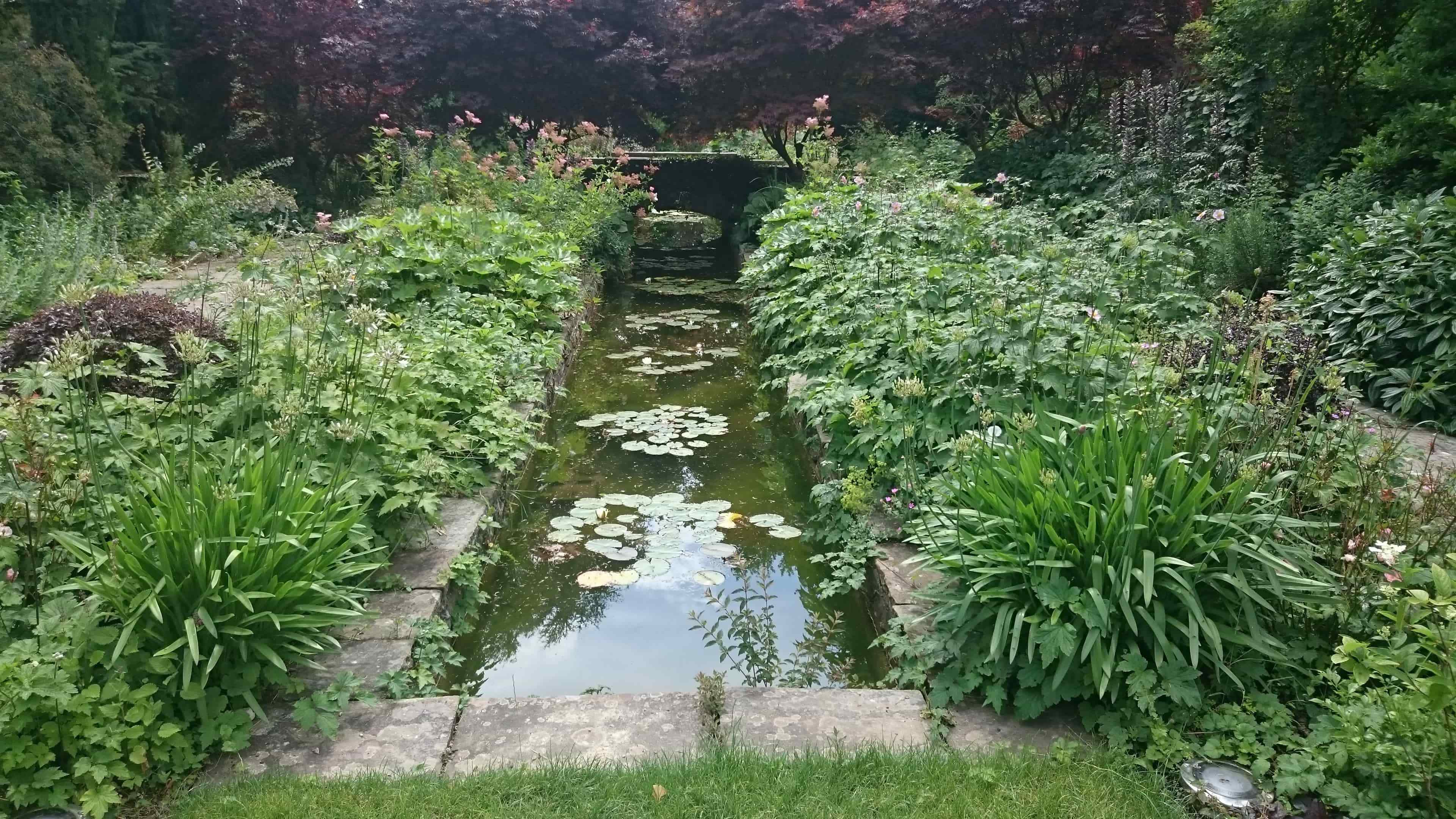 Renovating a 1937 Water Lily Canal