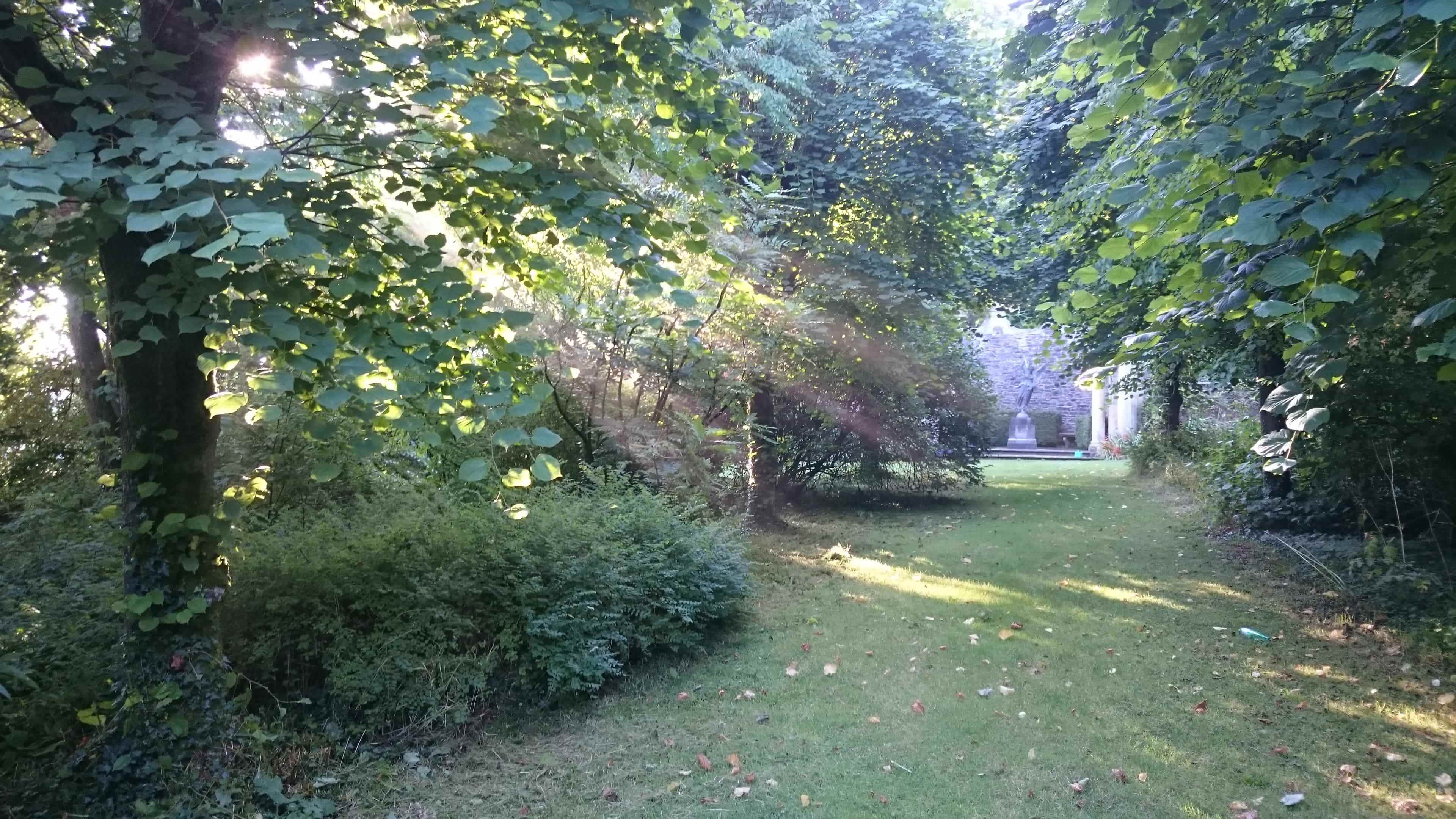 Maintaining a Victorian Shrubbery