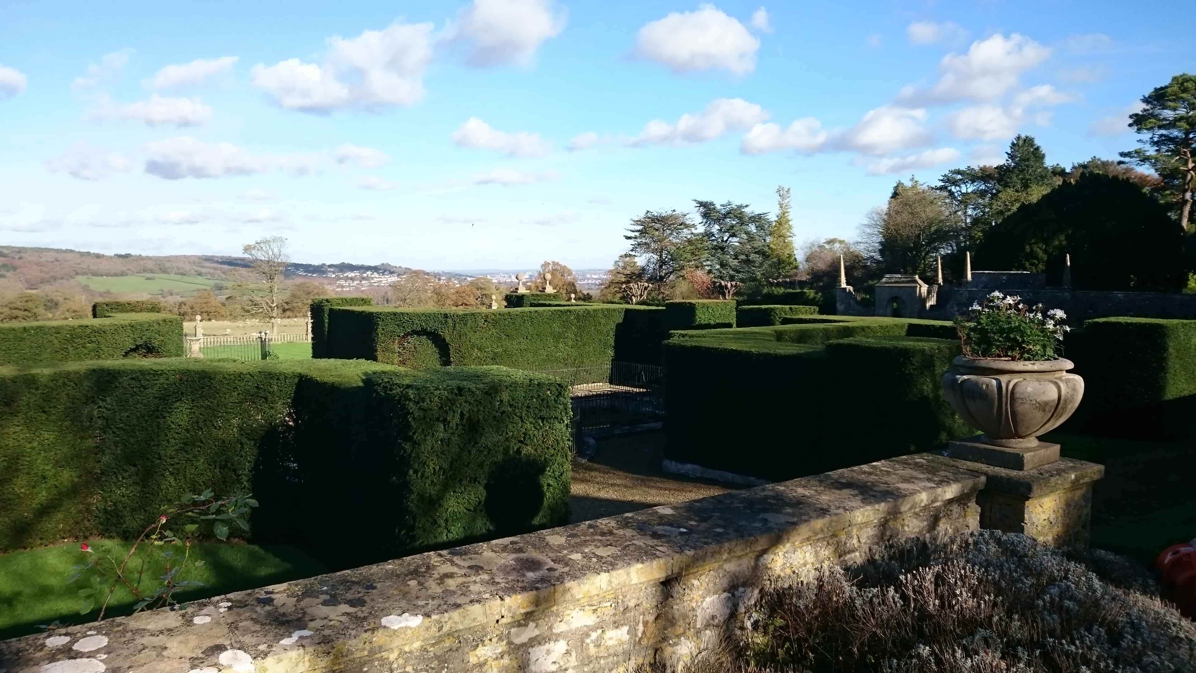 Yew Hedges in a Victorian Garden