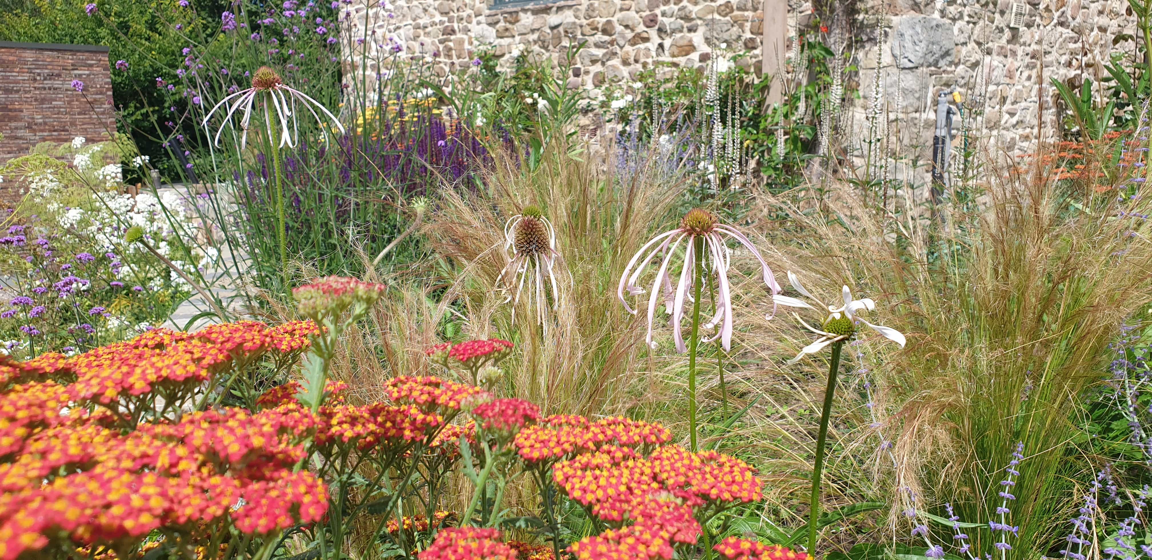 Potager Style Planting Scheme