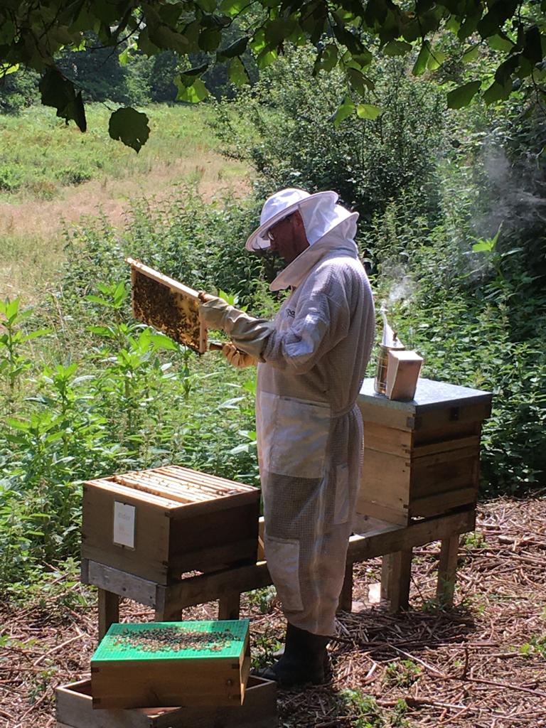 Beekeeping