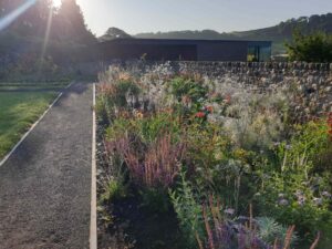 naturalistic planting scheme in Monmouthshire